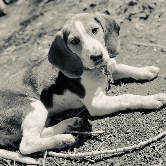 Welcome! - Picture 12 of 16